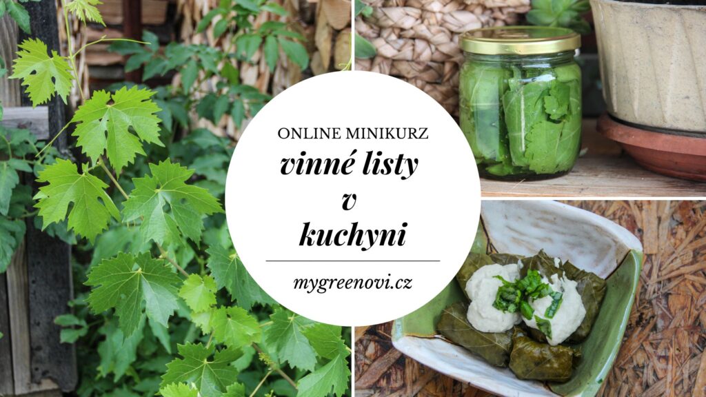 vinné listy v kuchyni